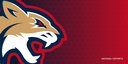 UArizona Wildcat Gaming Club Discord Server Banner