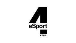 4eSport Discord Server Banner