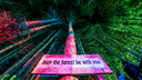 Electric Forest Discord Server Banner