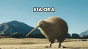 Aotearoa New Zealand Discord Server Banner