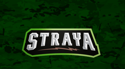 StrayaGaming Discord Server Banner