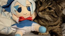 Club Cirno Discord Server Banner