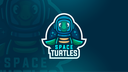 Space Turtles Discord Server Banner