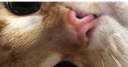 Frogger Nation Discord Server Banner