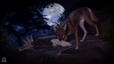 Ec🎃s Discord Server Banner
