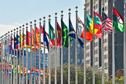 Vexillology Discord Server Banner