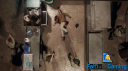 Fat Duck Gaming Community Discord Server Banner