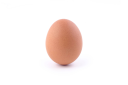 EGG Discord Server Banner