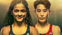 The MMA Discord Discord Server Banner