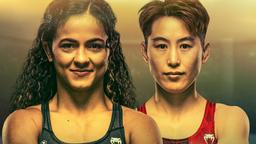 The MMA Discord Discord Server Banner