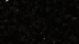 MIRWANA RAVE Discord Server Banner