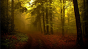 Australia Discord Server Banner
