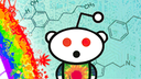 Drugs Hangout Discord Server Banner