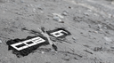 CoaXioN Discord Server Banner