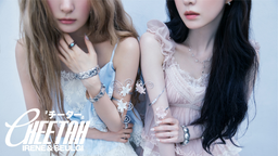 Red Velvet Discord Server Banner