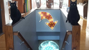 Sherpa Run Discord Server Banner
