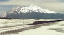 Rolling Line Discord Server Banner