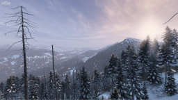 DayZ Modders Discord Server Banner
