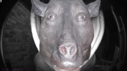 hannnahlovescows Discord Server Banner