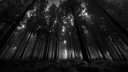 Arena Breakout Discord Server Banner