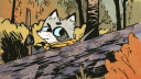 Woodland Warriors Discord Server Banner
