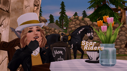 Star Stable Online - Star Riders Discord Server Banner