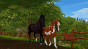 Star Stable Online - Star Riders Discord Server Banner