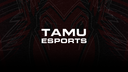 Texas A&M Esports Discord Server Banner