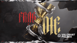 VALORANT Polska Discord Server Banner