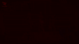 𝗕𝗟𝗜𝗡𝗞𝗙𝗥𝗔𝗡𝗖𝗘 🎃 Discord Server Banner