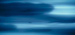 ⭐ NAVE GUSNIGMA ⭐ Discord Server Banner