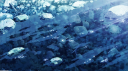 Existence 在 Discord Server Banner