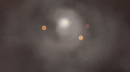 T R A S H 新 ドラゴン Discord Server Banner