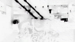Amaru Discord Server Banner