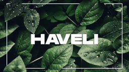 Haveli Discord Server Banner