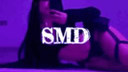SMD Discord Server Banner