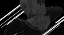 Vulx™ Discord Server Banner