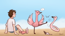 Flamingo community Discord Server Banner