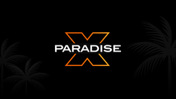 Paradise X Discord Server Banner
