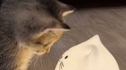 Yuumi Mains Discord Server Banner