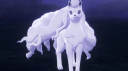 Ninetales' Paradise Discord Server Banner
