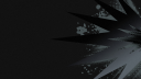 Toon Boom Animation Discord Server Banner