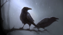 ζCrow Bots Discord Server Banner
