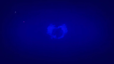 Bored Aussies Discord Server Banner