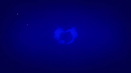 Bored Aussies Discord Server Banner