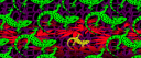 💯100 gecs🦎 Discord Server Banner