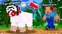 TersMaske Discord Server Banner