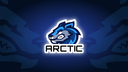 Arctic Games Discord Server Banner