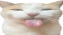 ⊰ Mercury ⊱ Discord Server Banner