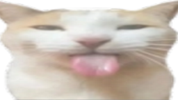 ⊰ Mercury ⊱ Discord Server Banner